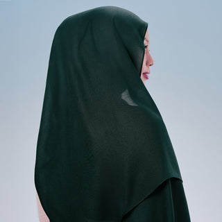 Modal in Shamrock